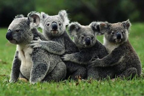 Barossa Private Group 1-13 Tour To Barossa Valley Or McLaren Vale From Adelaide - Accommodation Newcastle 35
