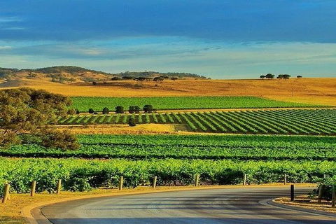 Barossa Private Group 1-13 Tour To Barossa Valley Or McLaren Vale From Adelaide - Accommodation Newcastle 37