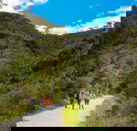 Morialta Wilderness and Wildlife Hike - Day Trip from Adelaide - Accommodation Newcastle