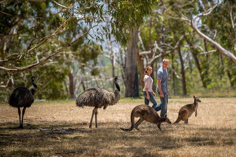 Cleland Wildlife Park Tour From Adelaide Including Mount Lofty Summit - Accommodation Newcastle 5