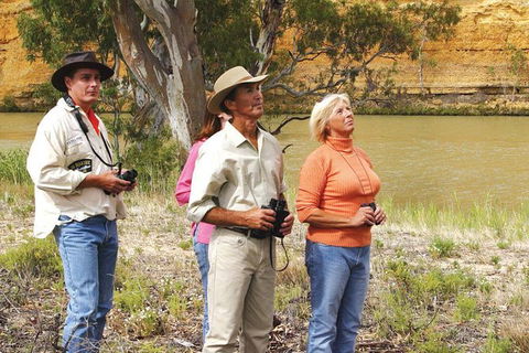 4-Night Murray River Cruise By Classic Paddle Wheeler PS Murray Princess - Accommodation Newcastle 1