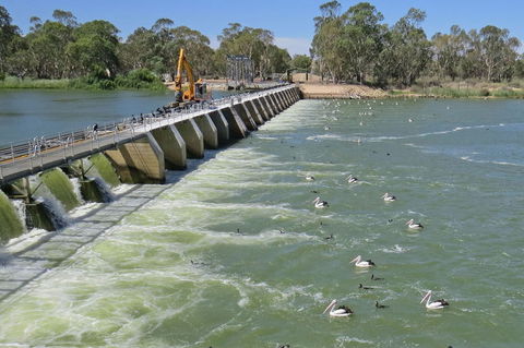 4-Night Murray River Cruise By Classic Paddle Wheeler PS Murray Princess - Accommodation Newcastle 7