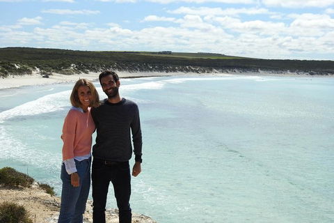 3 Day Port Lincoln And Coffin Bay Tour - Accommodation Newcastle 18