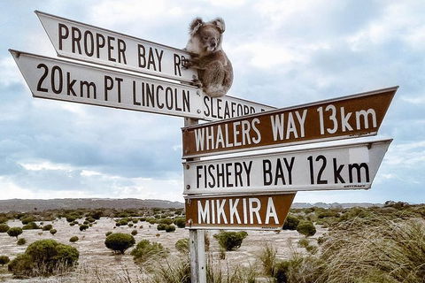 3 Day Port Lincoln And Coffin Bay Tour - Accommodation Newcastle 14