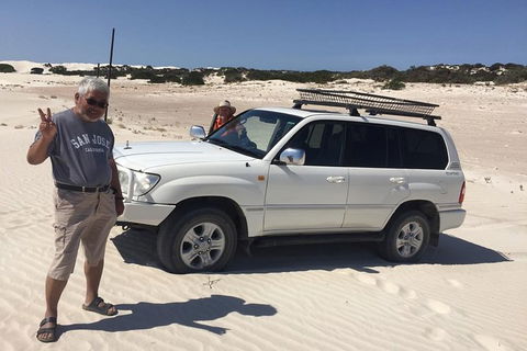 3 Day Port Lincoln And Coffin Bay Tour - Accommodation Newcastle 16