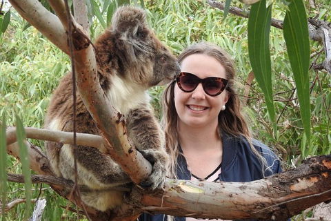 3 Day Port Lincoln And Coffin Bay Tour - Accommodation Newcastle 7