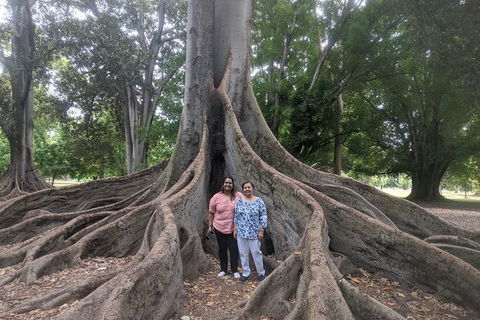 A Taste Of Adelaide And Hahndorf By Car Private Tour. - Accommodation Newcastle 11
