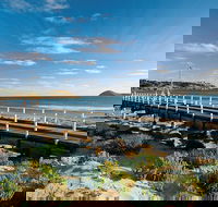 Victor Harbor and Southern Highlights from Adelaide Including Lunch - Accommodation Newcastle