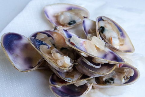 Coorong Adventure Cruise - Accommodation Newcastle 6
