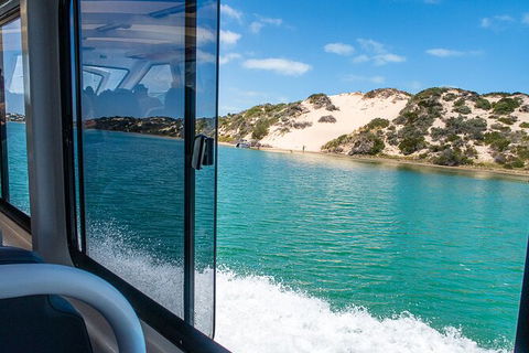 Coorong Adventure Cruise - Accommodation Newcastle 4