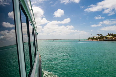 Coorong Adventure Cruise - Accommodation Newcastle 3