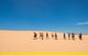 Coorong Adventure Cruise - thumb 9