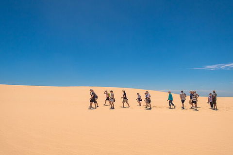 Coorong Adventure Cruise - Accommodation Newcastle 9