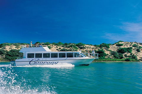 Coorong Adventure Cruise - Accommodation Newcastle 7