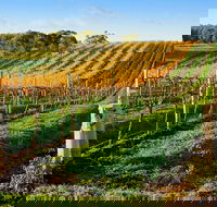 Victor Harbor with McLaren Vale Wine Region Tour from Adelaide - Accommodation Newcastle
