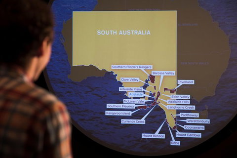 Australian Wine Discovery Tour With Tastings - Accommodation Newcastle 3