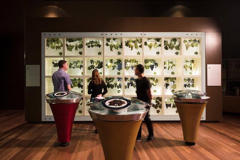 Australian Wine Discovery Tour With Tastings - Accommodation Newcastle 5