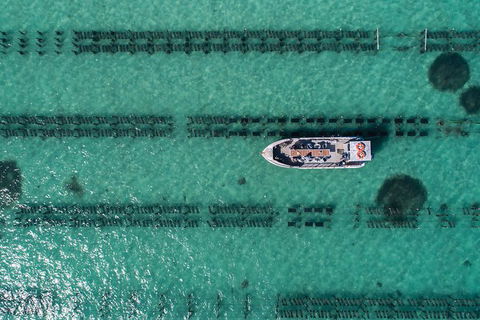 Experience Coffin Bay Short And Sweet Oyster Farm Tour - Accommodation Newcastle 4