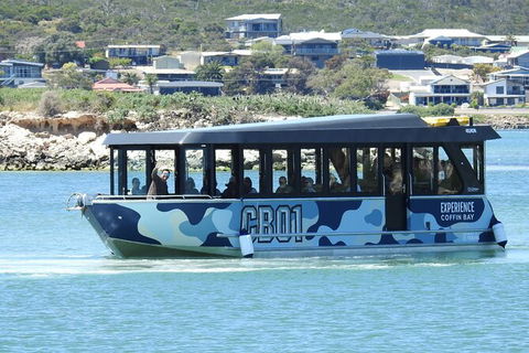 Experience Coffin Bay Short And Sweet Oyster Farm Tour - Accommodation Newcastle 9