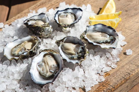 Experience Coffin Bay Short And Sweet Oyster Farm Tour - Accommodation Newcastle 3