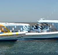 Adelaide Ocean Safari - Wild Dolphin Safari - Accommodation Newcastle