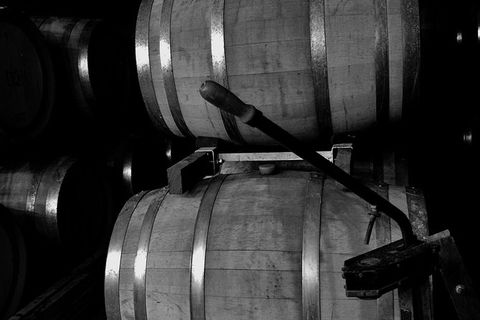 McLaren Vale Tour, Visit Up To 5 Wineries With A Great Itinerary. - Accommodation Newcastle 14