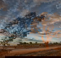 Flinders Ranges Photography Tour - Accommodation Newcastle