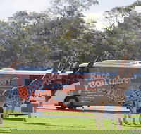 Monarto Safari Park Bus transfers from Adelaide City - Accommodation Newcastle