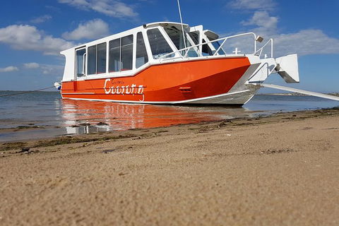 Coorong Highlights Cruise - Accommodation Newcastle 0