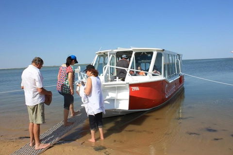 Coorong Highlights Cruise - Accommodation Newcastle 6