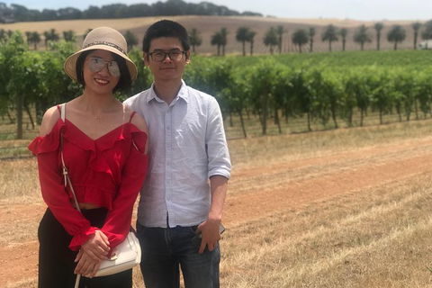 Private Tour 1-6 Passengers Wine Tasting & Or Sightseeing - Accommodation Newcastle 6