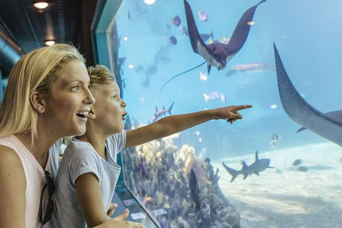 Gold Coast Theme Park Pass: Warner Bros. Movie World, Sea World And Wet'n'Wild - Accommodation Newcastle 1