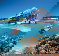 3-Day Southern Great Barrier Reef Tour Including Lady Musgrave Island - Accommodation Newcastle