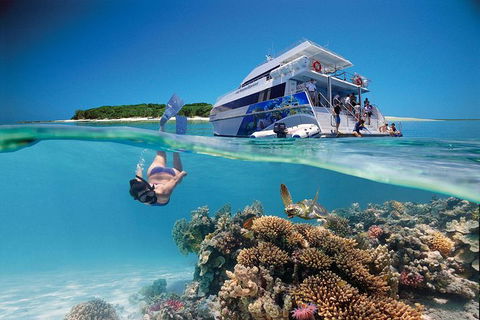 3-Day Southern Great Barrier Reef Tour Including Lady Musgrave Island - Accommodation Newcastle 0