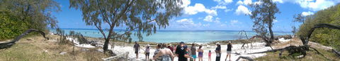 3-Day Southern Great Barrier Reef Tour Including Lady Musgrave Island - Accommodation Newcastle 3