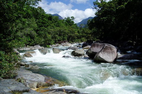 Daintree Rainforest, Cape Tribulation, Mossman Gorge In A Day - Accommodation Newcastle 0