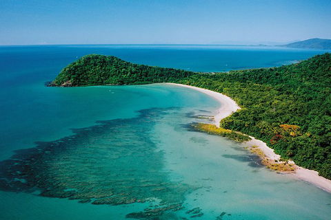 Daintree Rainforest, Cape Tribulation, Mossman Gorge In A Day - Accommodation Newcastle 6