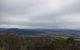 Springbrook AndTamborine Rainforest Tour Incl Natural Bridge And Glow Worm Cave - thumb 7