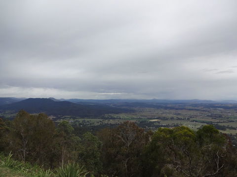 Springbrook AndTamborine Rainforest Tour Incl Natural Bridge And Glow Worm Cave - Accommodation Newcastle 7