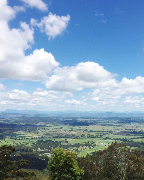 Springbrook AndTamborine Rainforest Tour Incl Natural Bridge And Glow Worm Cave - Accommodation Newcastle 5