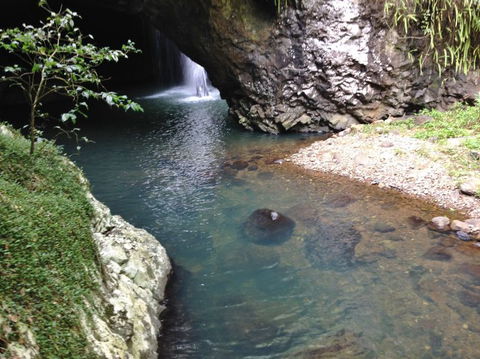 Springbrook AndTamborine Rainforest Tour Incl Natural Bridge And Glow Worm Cave - Accommodation Newcastle 6