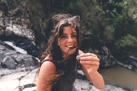 Springbrook AndTamborine Rainforest Tour Incl Natural Bridge And Glow Worm Cave - Accommodation Newcastle 10