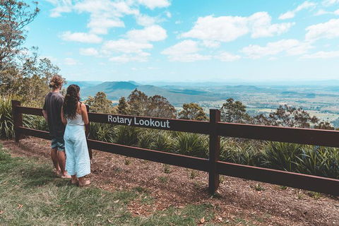 Springbrook AndTamborine Rainforest Tour Incl Natural Bridge And Glow Worm Cave - Accommodation Newcastle 13