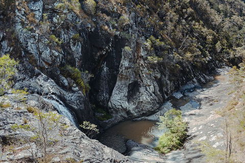 Springbrook AndTamborine Rainforest Tour Incl Natural Bridge And Glow Worm Cave - Accommodation Newcastle 15
