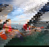 Moreton Island Day Trip Kayak Snorkel  Sandboard frm Brisbane or Gold Coast - Accommodation Newcastle
