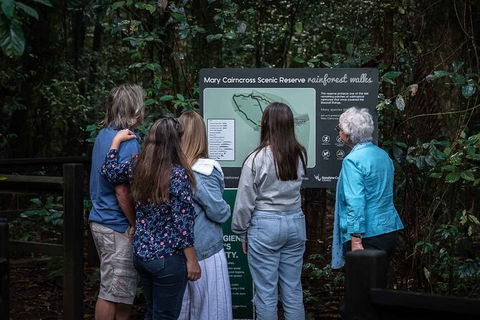 Sunshine Coast Hinterland And Noosa Day Trip From Brisbane Including Eumundi Markets And Ginger Factory - Accommodation Newcastle 4