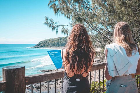 Sunshine Coast Hinterland And Noosa Day Trip From Brisbane Including Eumundi Markets And Ginger Factory - Accommodation Newcastle 9