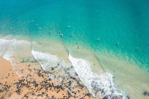 Sunshine Coast Hinterland And Noosa Day Trip From Brisbane Including Eumundi Markets And Ginger Factory - Accommodation Newcastle 10
