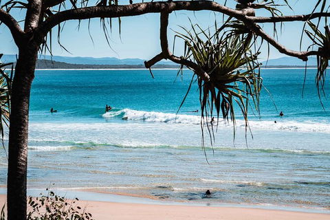 Sunshine Coast Hinterland And Noosa Day Trip From Brisbane Including Eumundi Markets And Ginger Factory - Accommodation Newcastle 8