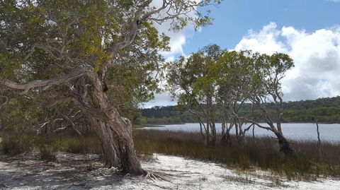 North Stradbroke Island Day Trip From Brisbane - Accommodation Newcastle 14